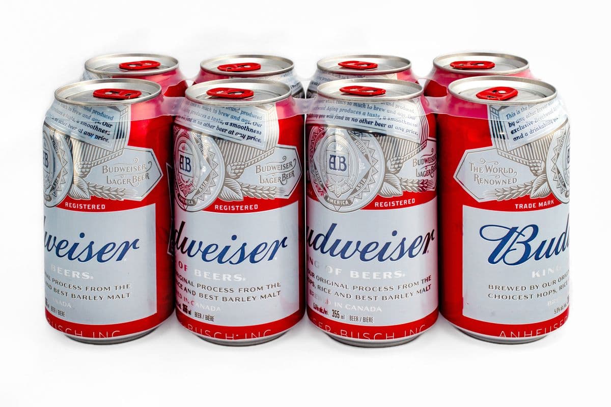 Budweiser (8 x 355 ml)