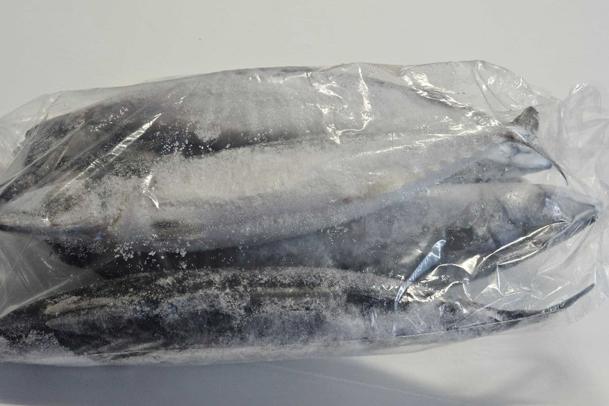 Mackarel Fish (1/4 box)