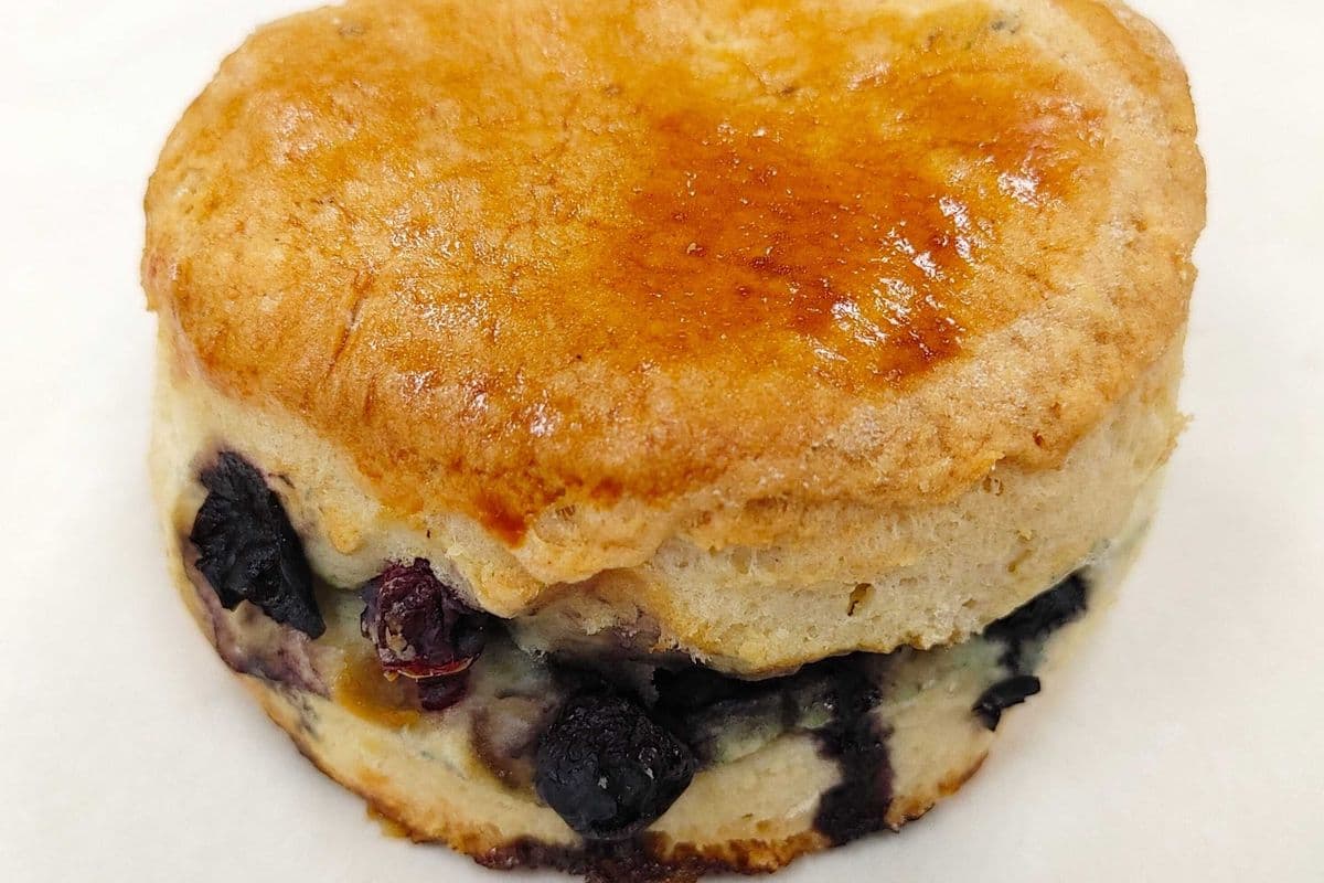 Scone - Blueberry