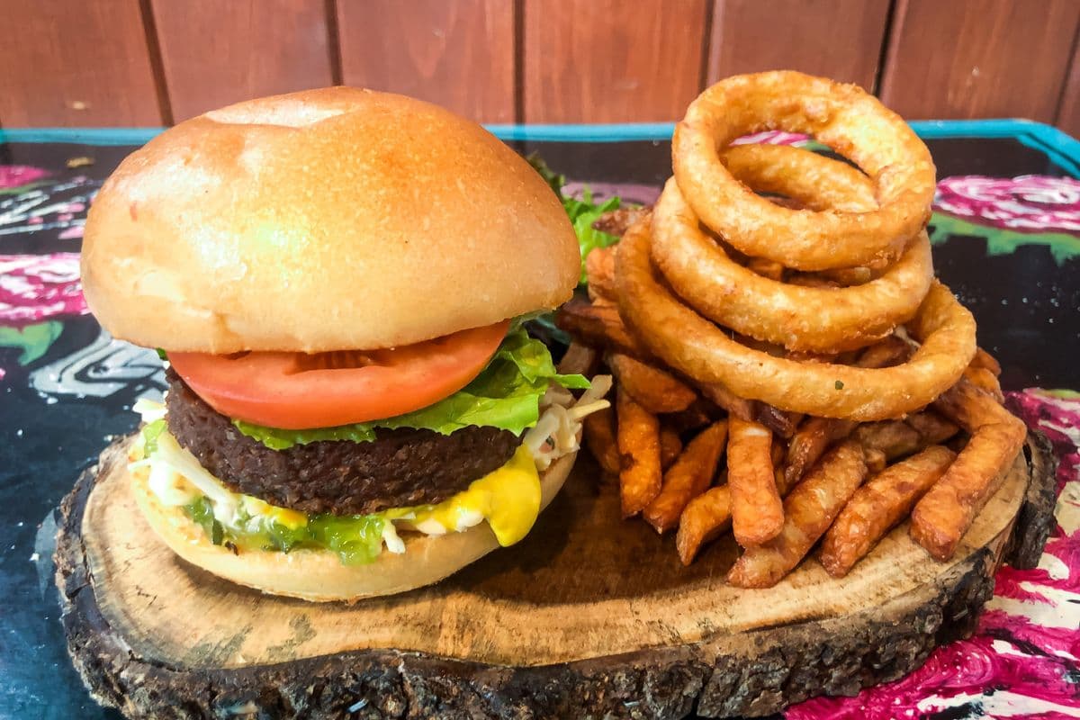 L'assiette de végéburger / Veggie Burger Plate