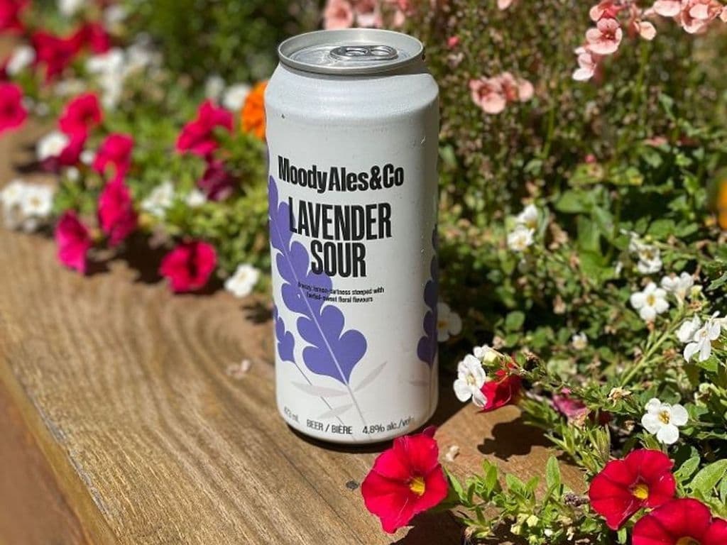 Feature Sour Tall Can (473ml)