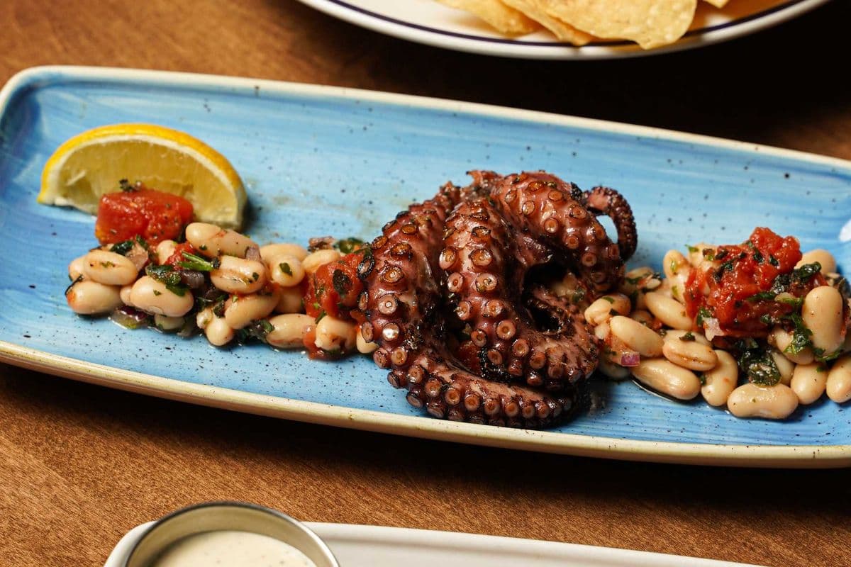 Charred Moroccan Octopus
