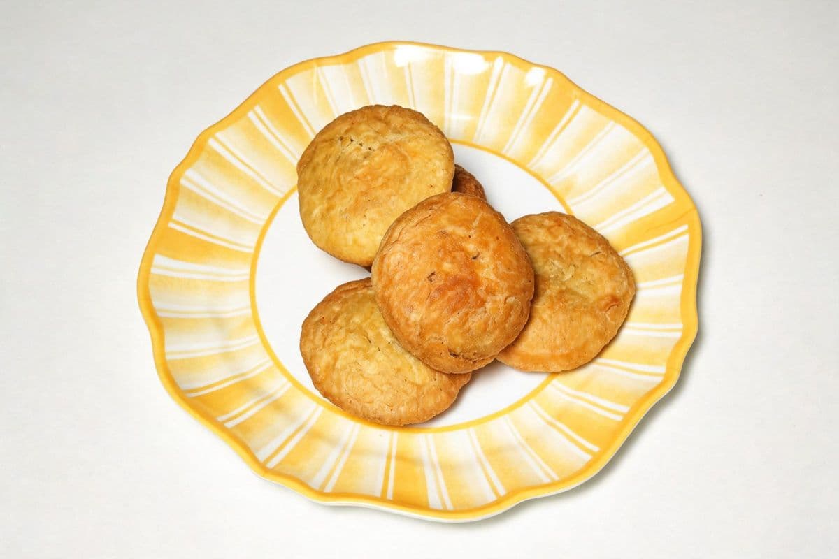 Fried Dumpling