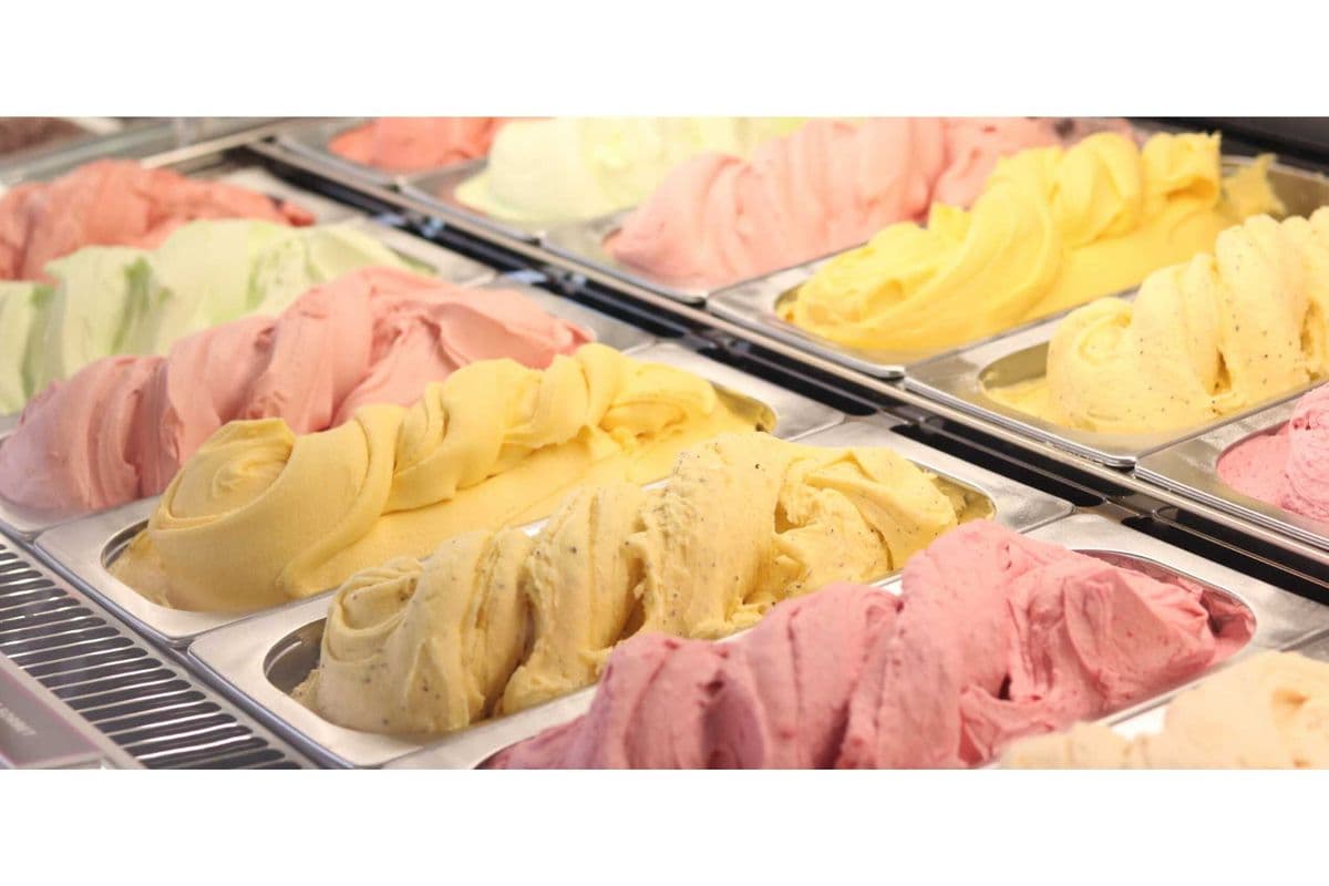 Regular Size - Gelato