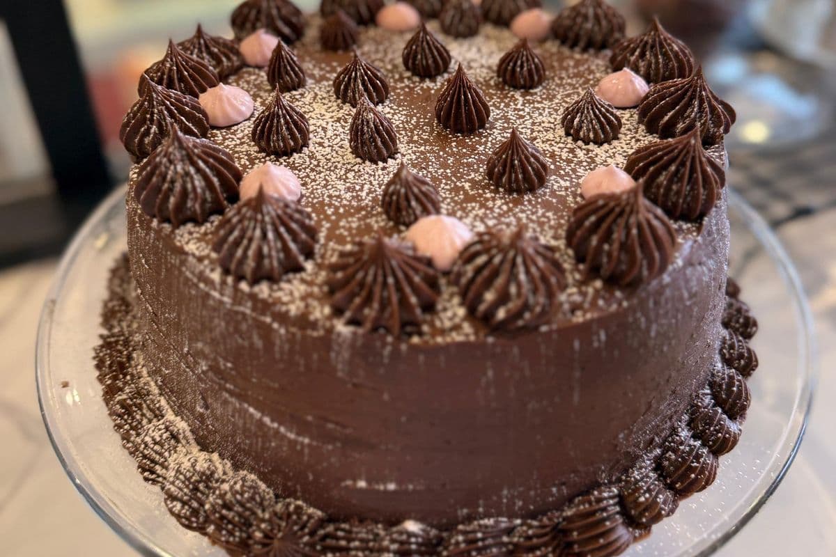 SLICE OF CHOCOLATE CAKE