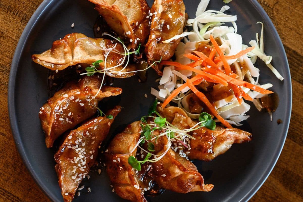 Fried Chicken Dumplings