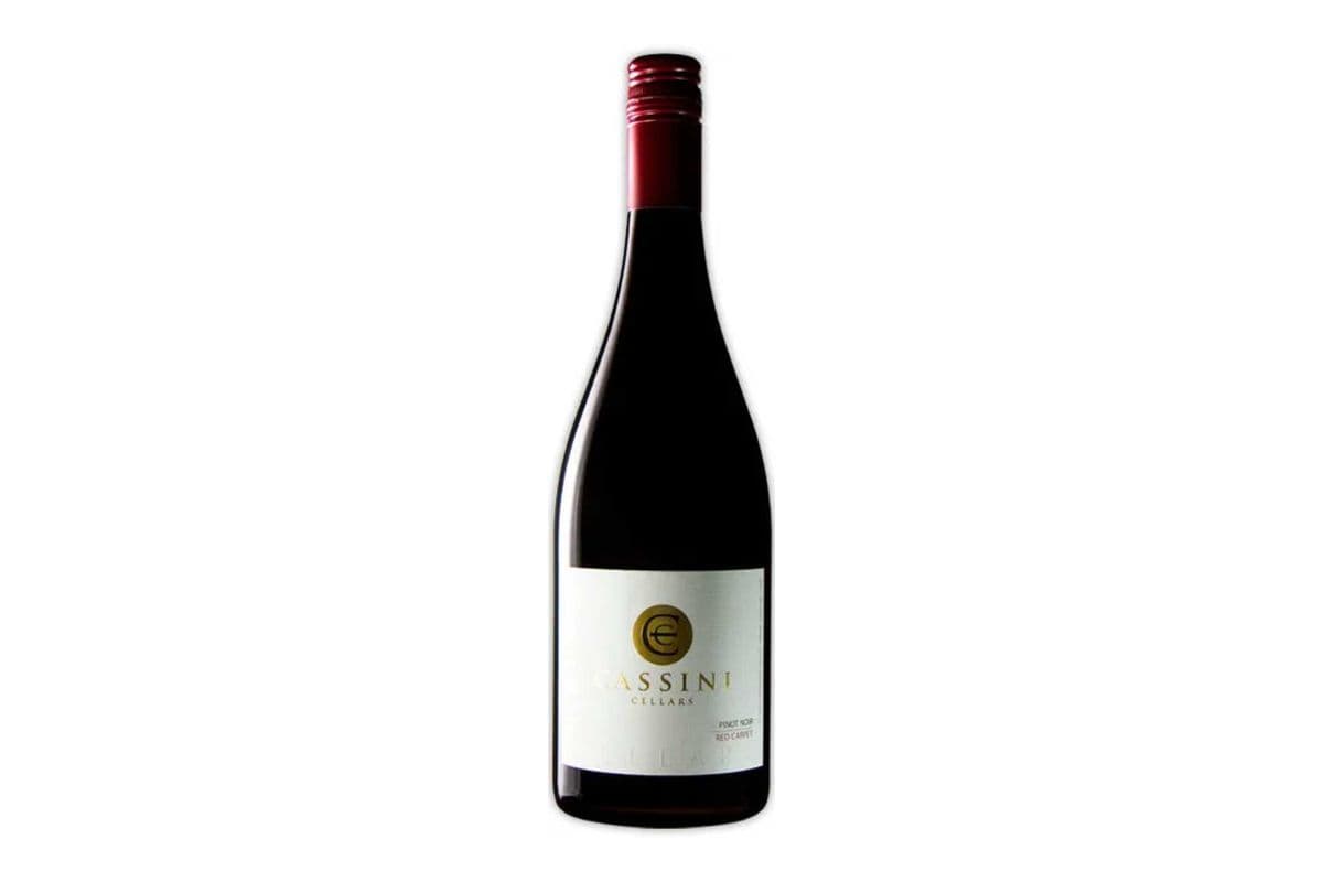 Cassini Pinot Noir (1 x 750 ml)