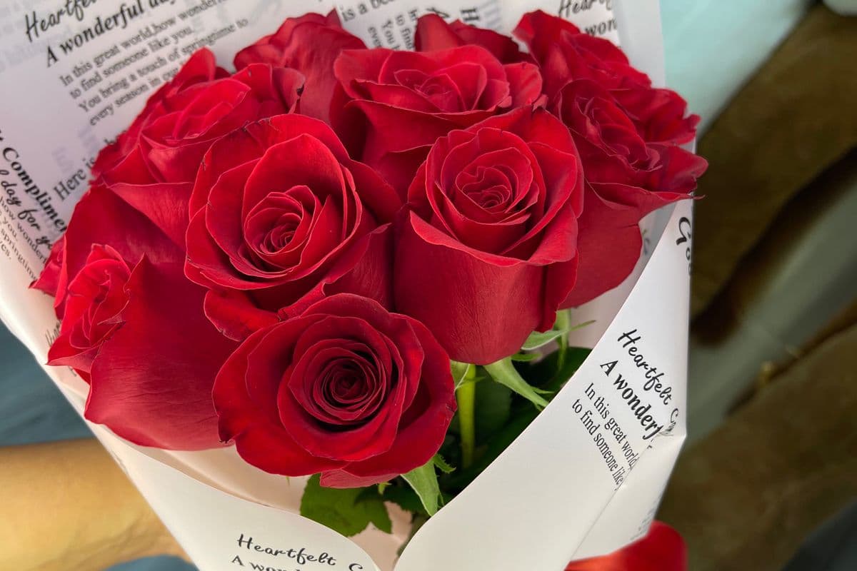 12 Fresh long stem Roses