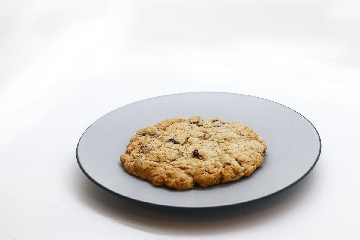 Chewy Oatmeal and Cranberry Cookie