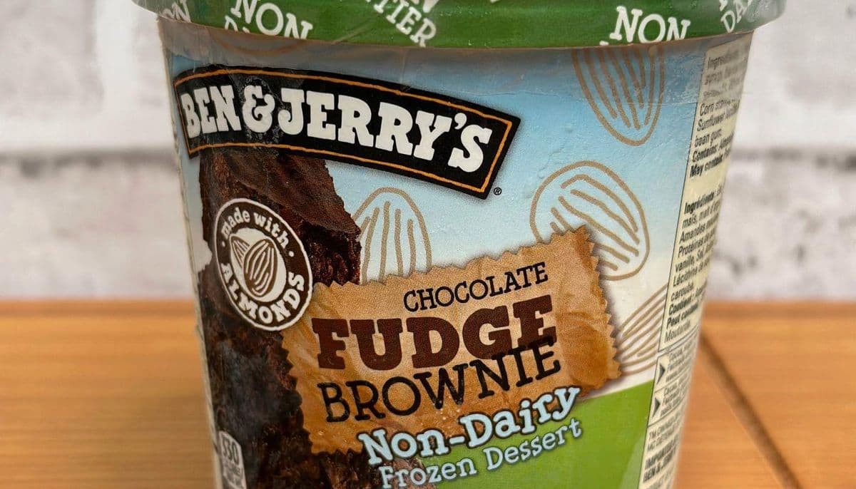 Ben & Jerry`s Chocolate Fudge Brownie (Vegan)