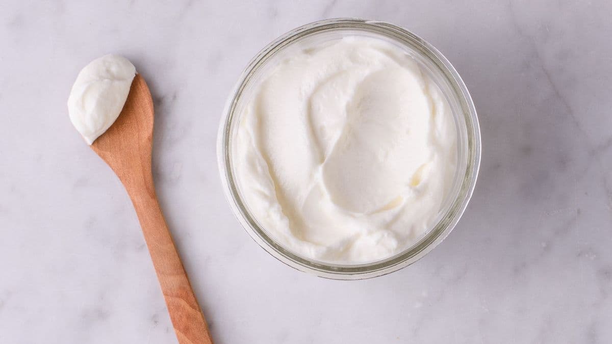Plain Yogurt