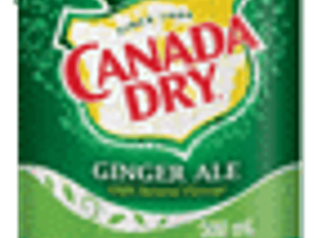 Canada Dry 500ml Bottle