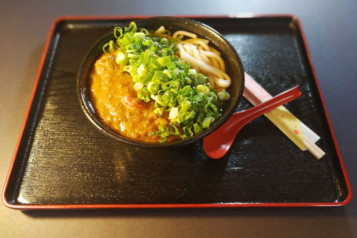 Kare Beef Udon