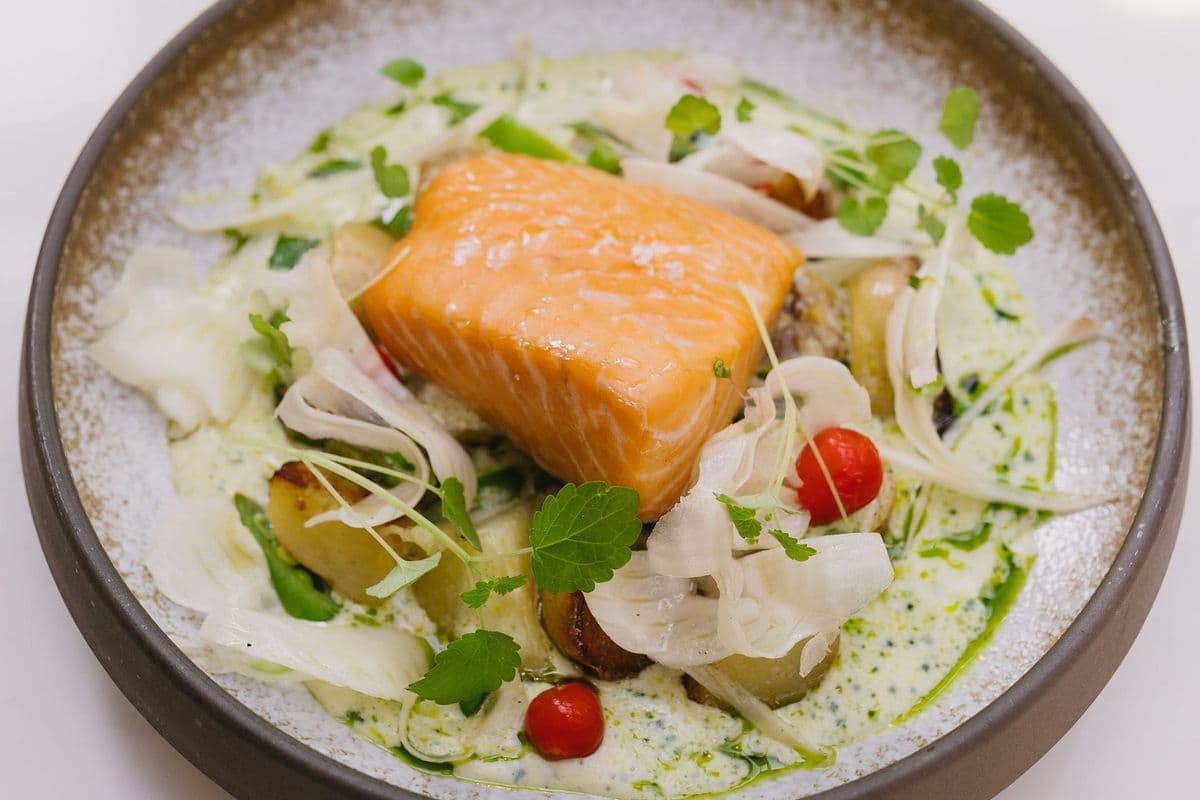 Salmon