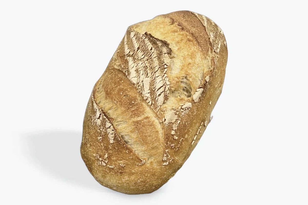 Plain Sourdough