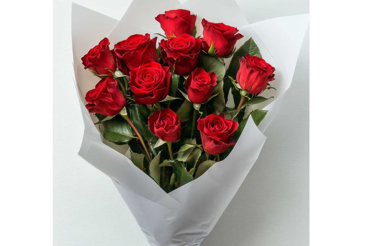 12 Wrapped Red Roses
