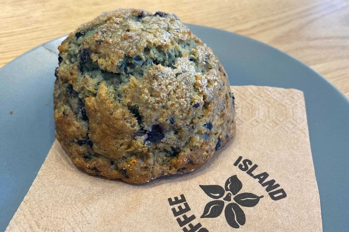 Wild Blueberry Scone