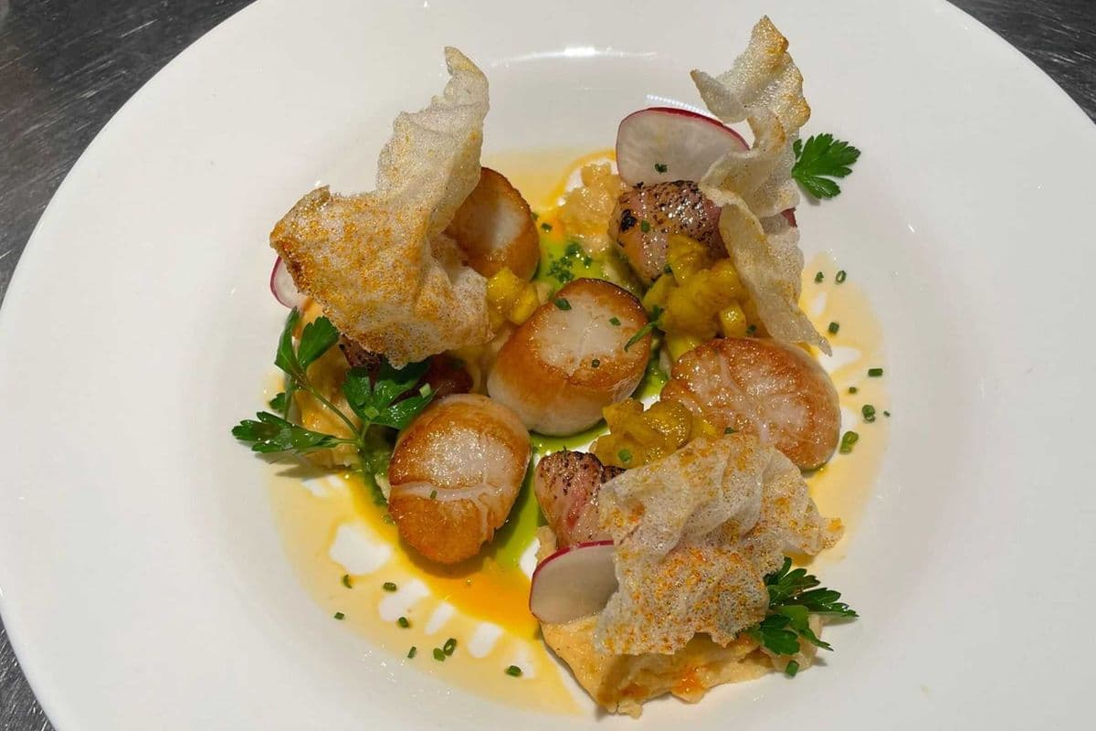Scallops