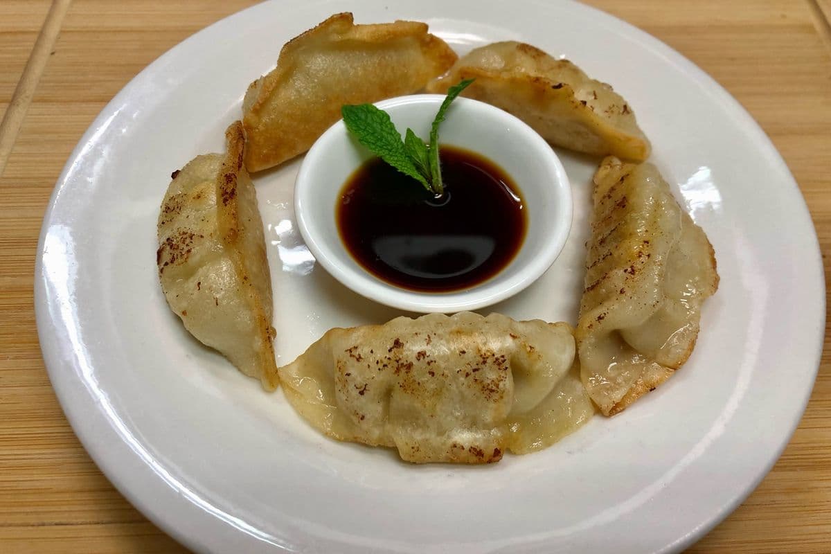 DS5. Pan Fried Chicken and Vegetable Dumpling (4 pcs)