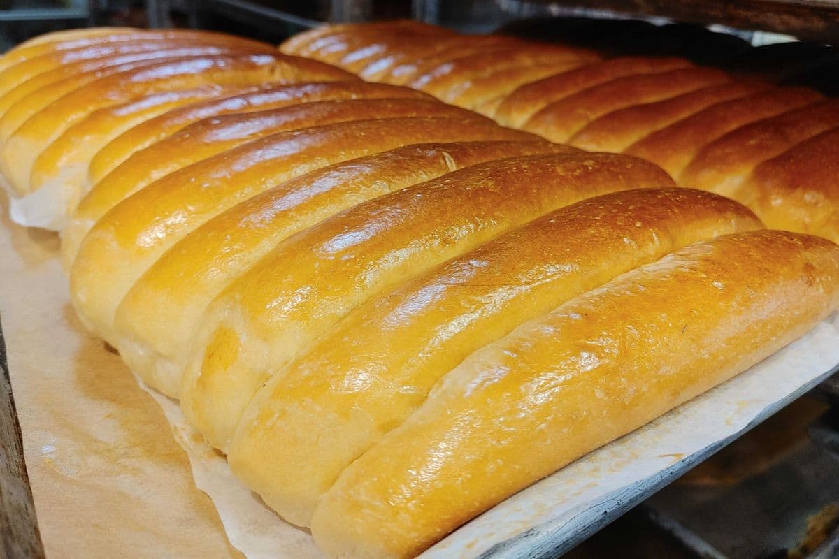 Large Plain Bun