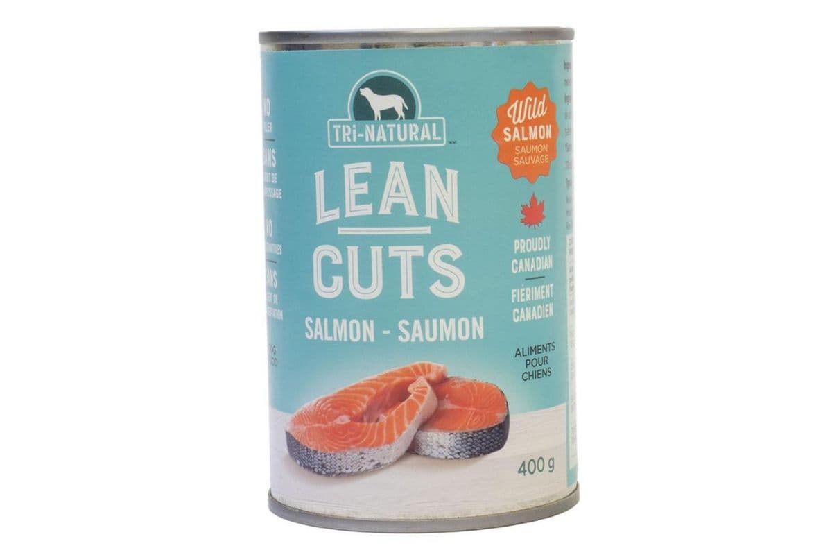 Tri-V Lean Cuts Salmon Wet Dog Food (680 g)