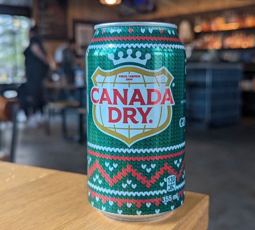 Ginger Ale 355ml Can