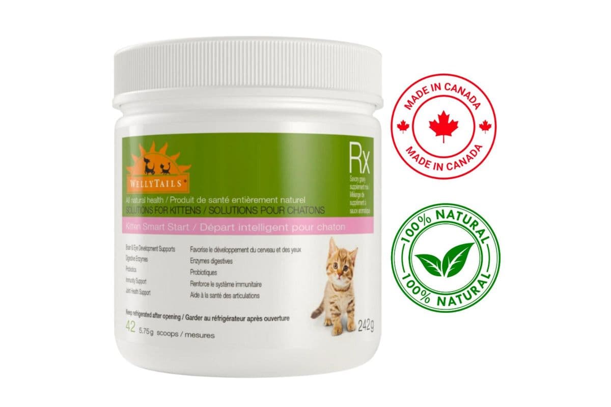 Wellytails Kitten Smart Start Rx Cat Supplement - 242 g (242 g)