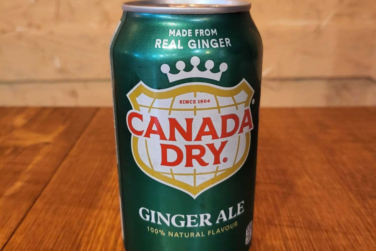Ginger Ale (355 ml)
