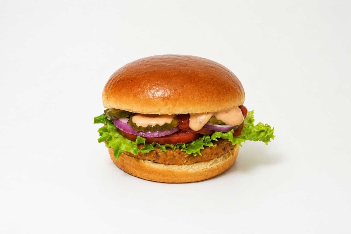 Veggie Burger Combo