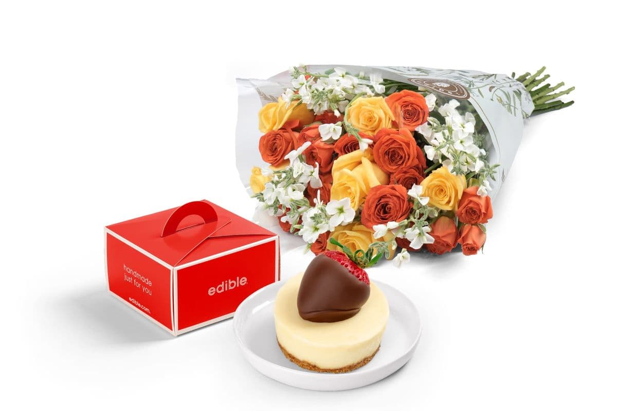 Roses captivantes et indulgence douillette / Riveting Roses and A Cozy Indulgence