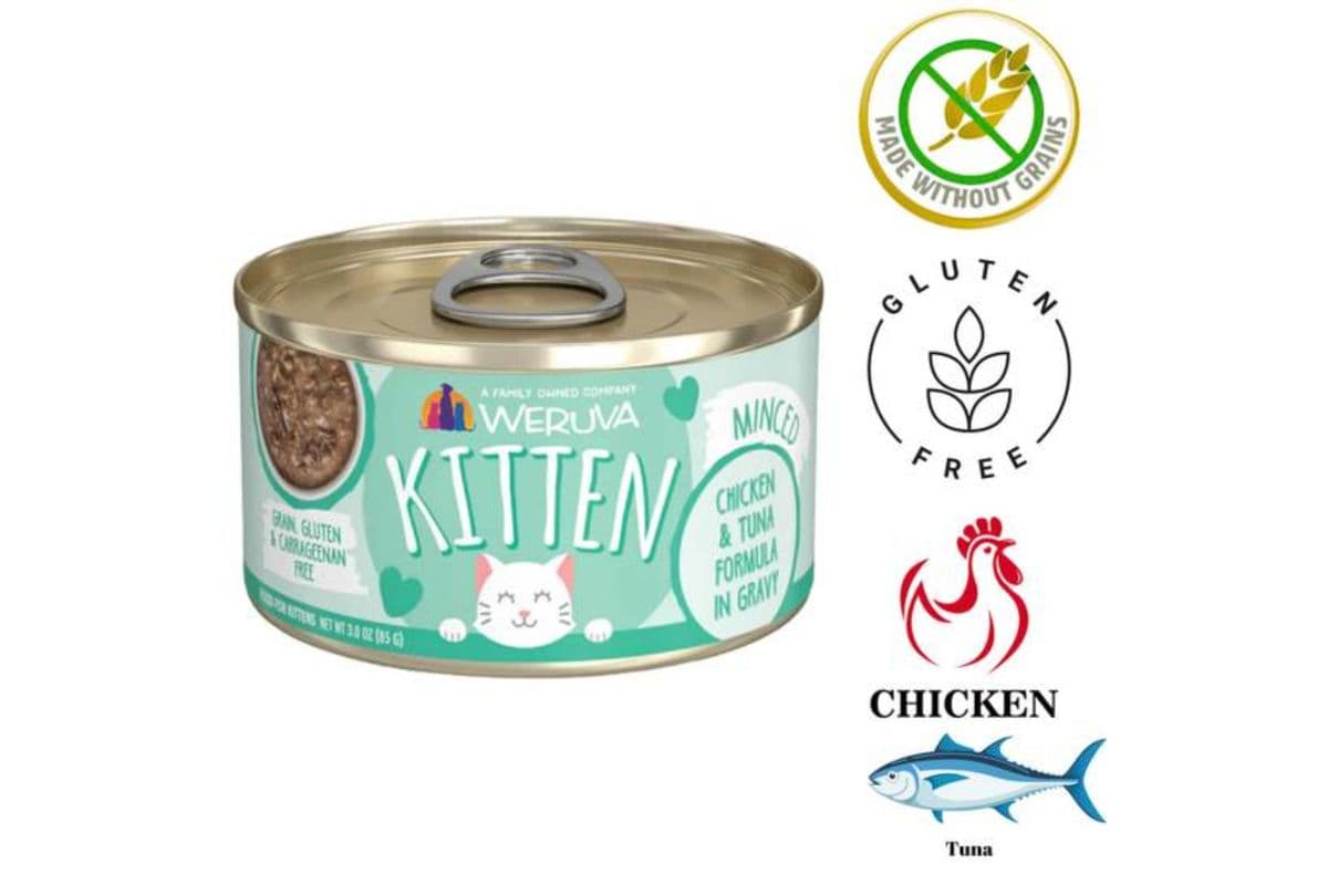 Weruva - Kitten Chicken & Tuna In Gravy Canned Cat Food (3 oz)