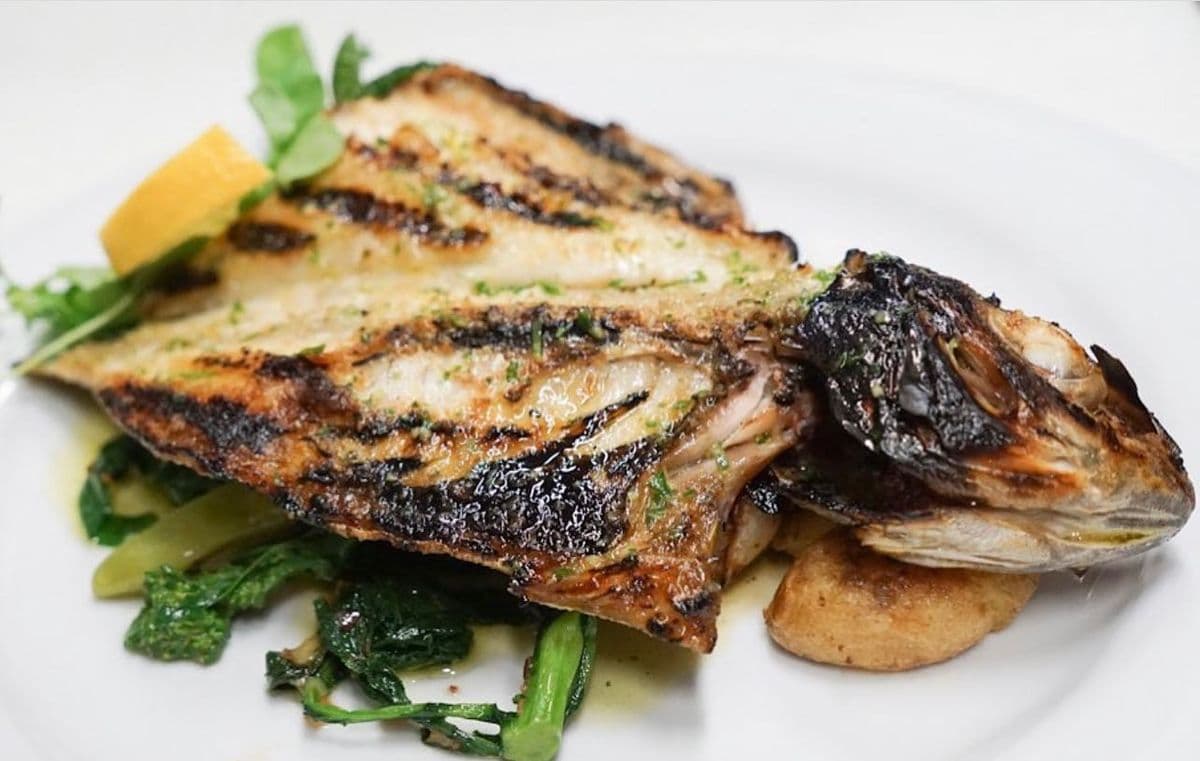 Fresh Seabream
