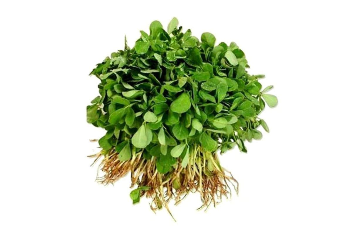 Fresh Bunched Methi (Shambelileh)