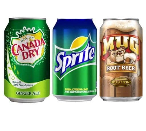 Gingerale/ Sprite/ Root Beer 355ml
