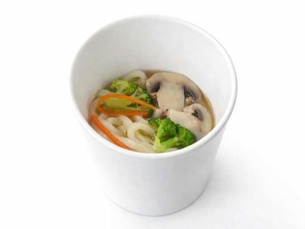 Vegetable Udon Soup