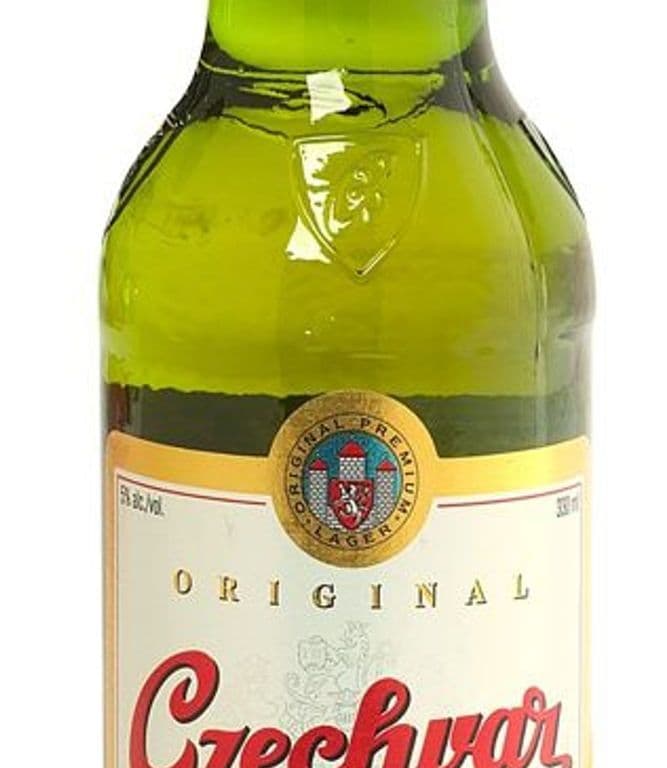 Original Czechvar Czech Beer 5%