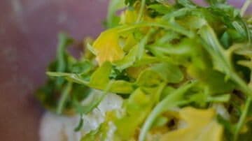 Fromage de Chèvre, Roquette, Poireaux, Crème