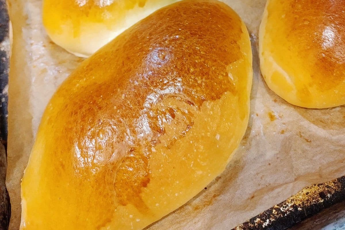 Plain Bun