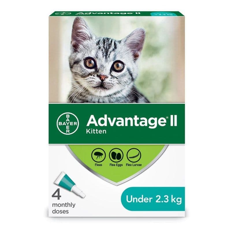 Bayer Advantage II - Cat / Kitten Under 2.3 kg