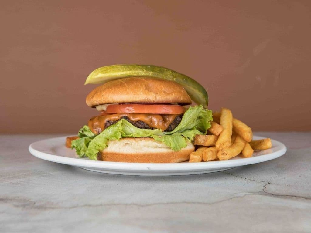 Cheese Burger With Fries