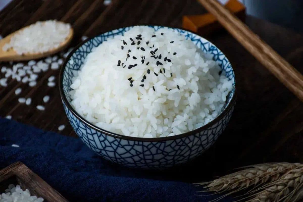AA4 Extra Rice(加米饭)