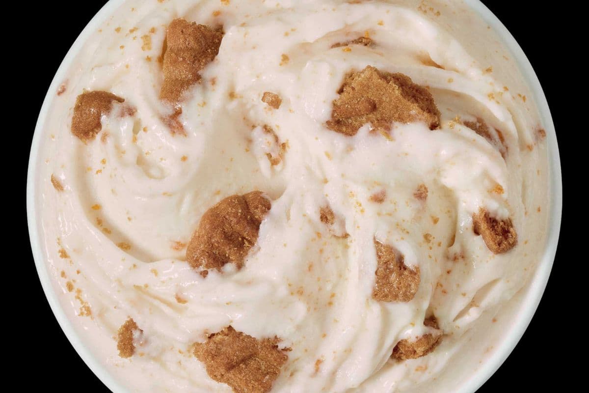 NOUVEAU! Dessert Blizzard Biscuit Biscoff® / Biscoff® Cookie BLIZZARD® Treat
