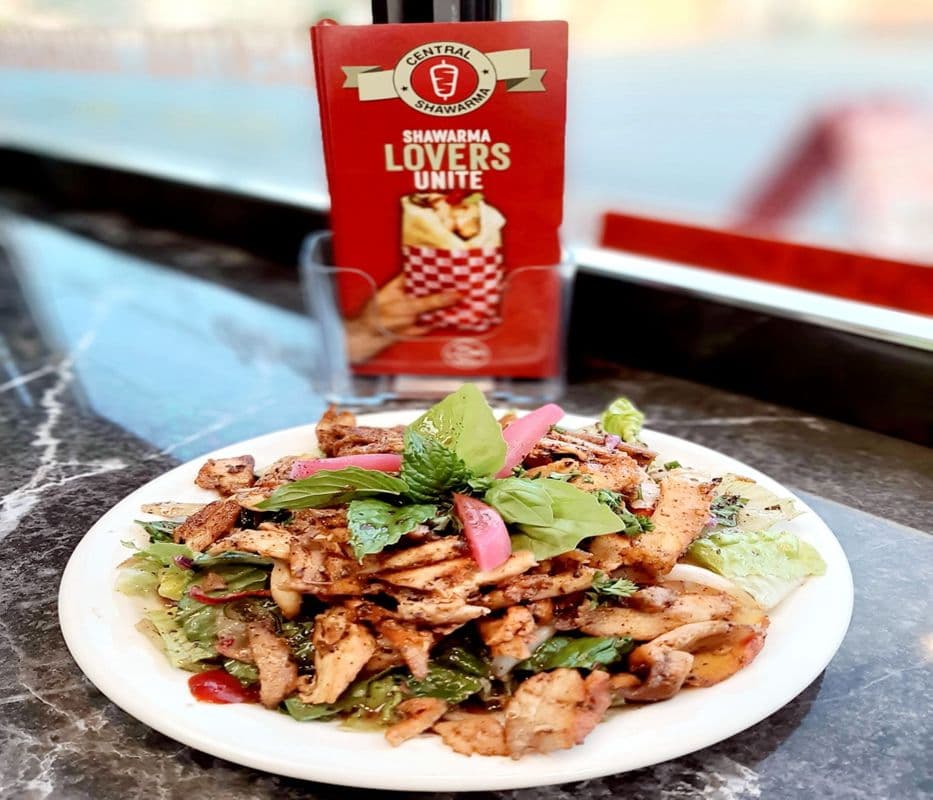 Medium Chicken Shawarma Fries