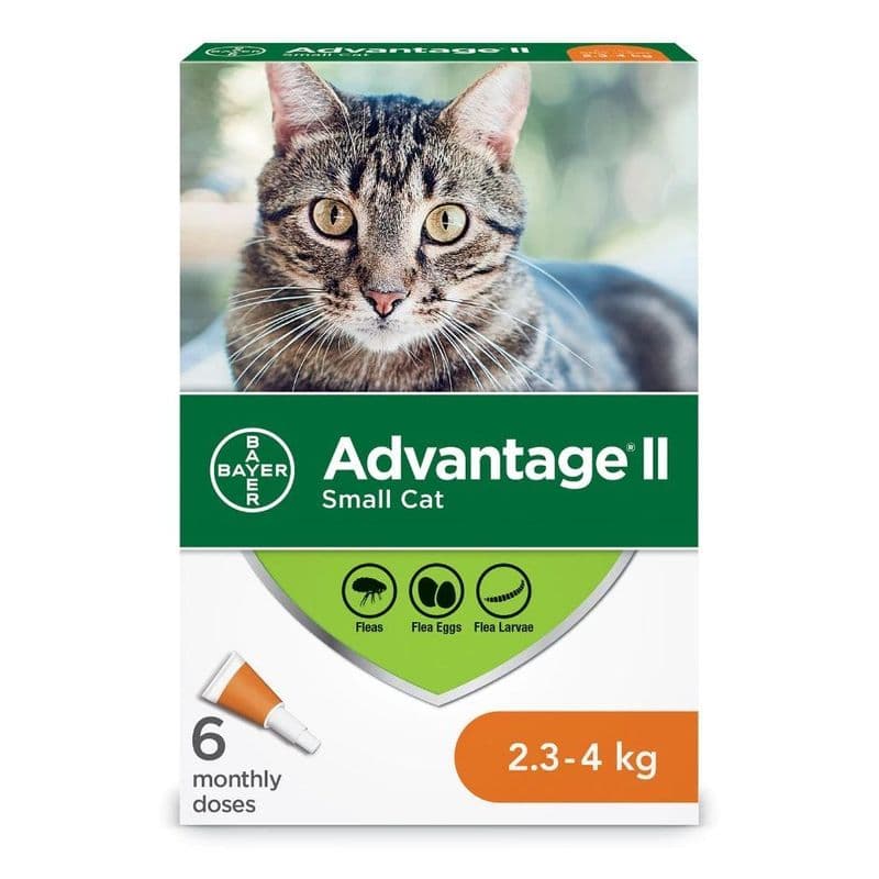 Bayer Advantage II - Cat 2.3-4 kg