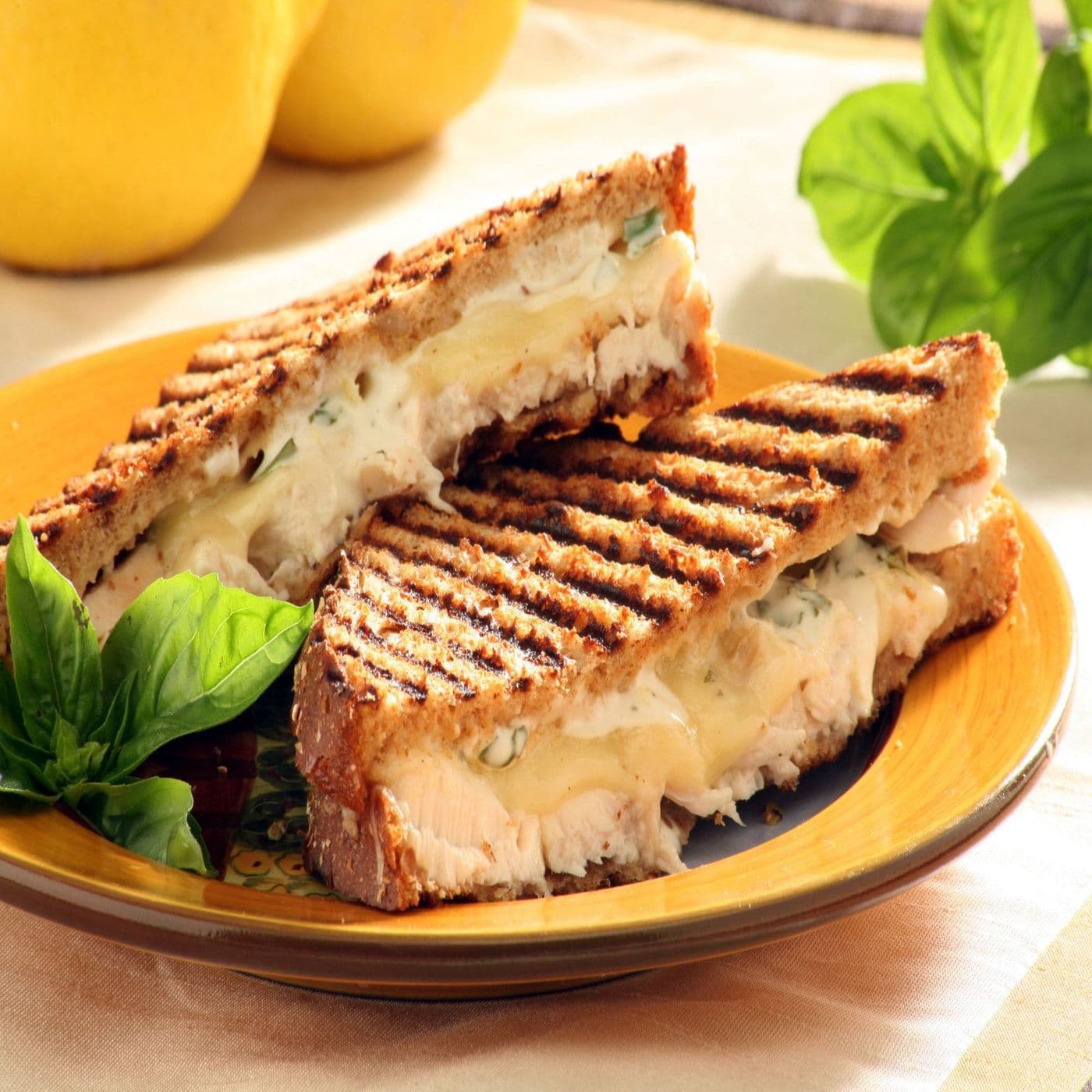 Panini Grill Sandwich - DNU