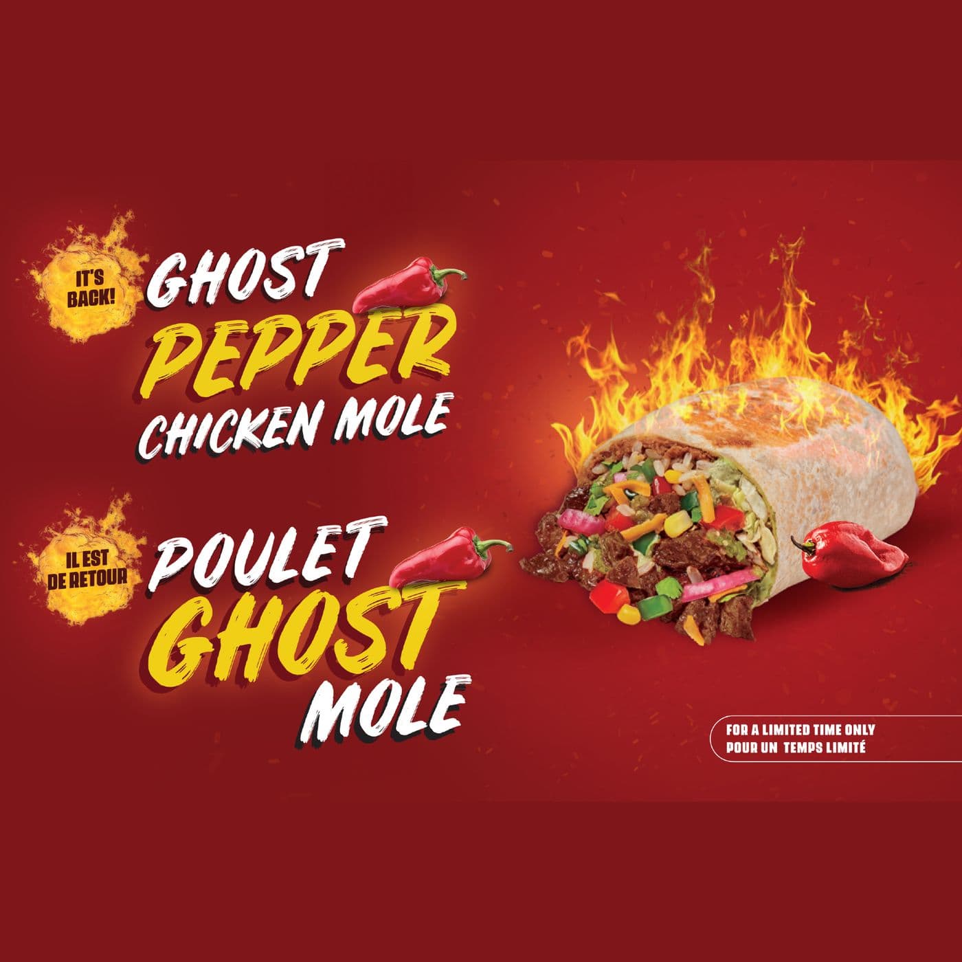 Quesada Burritos & Tacos