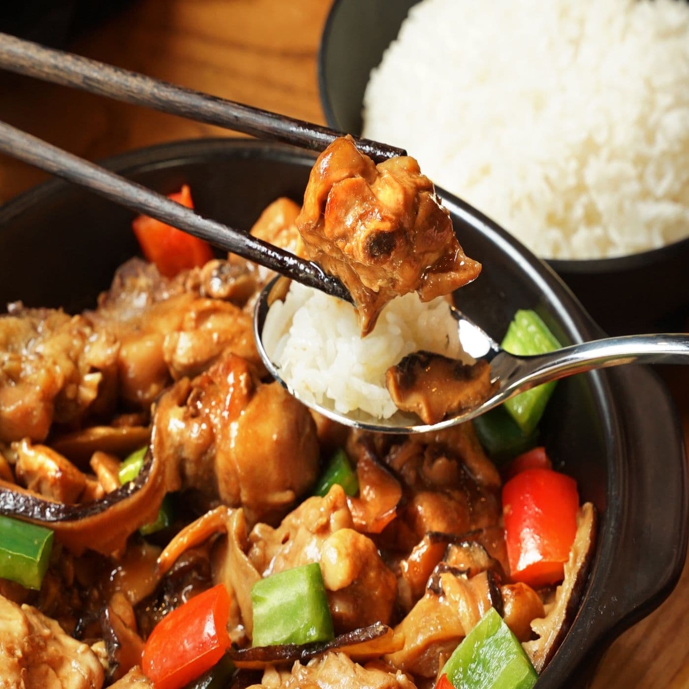 Yang's Braised Chicken Rice (Warden)