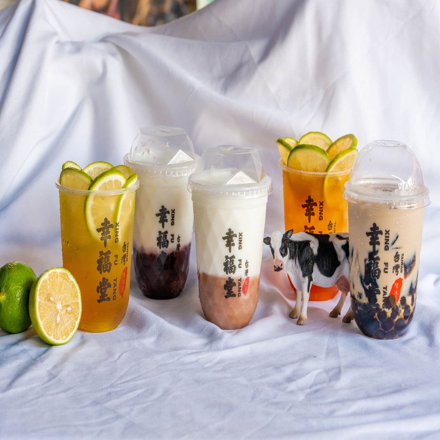 Xing Fu Tang- DNU