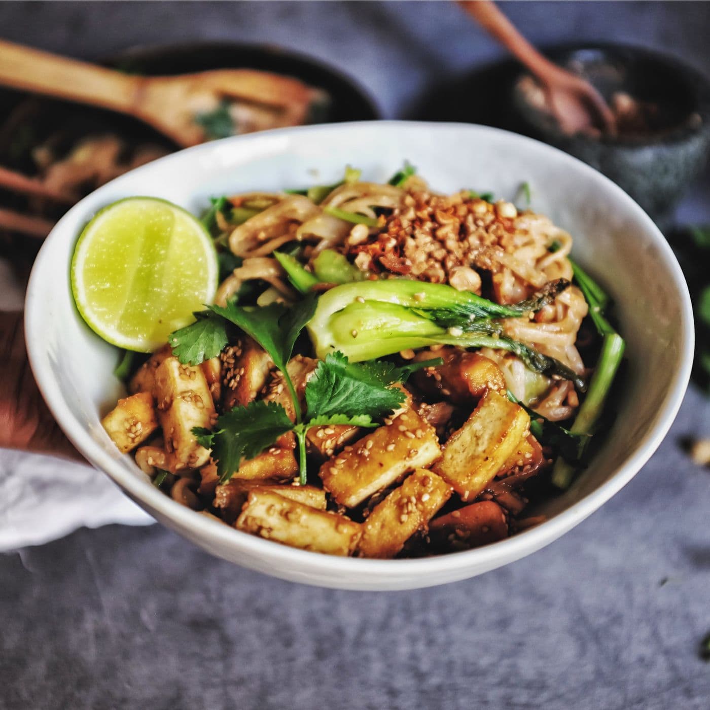 Oi Thai Food Inc.