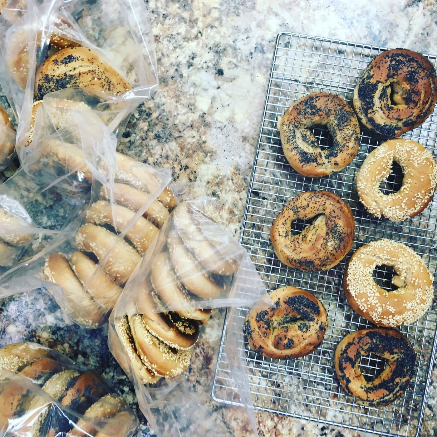 Salty Dog Bagels